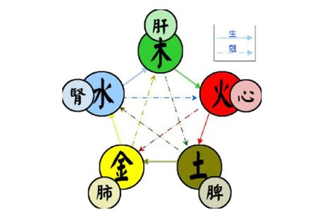 火生金|五行（对万事万物的取象比类）